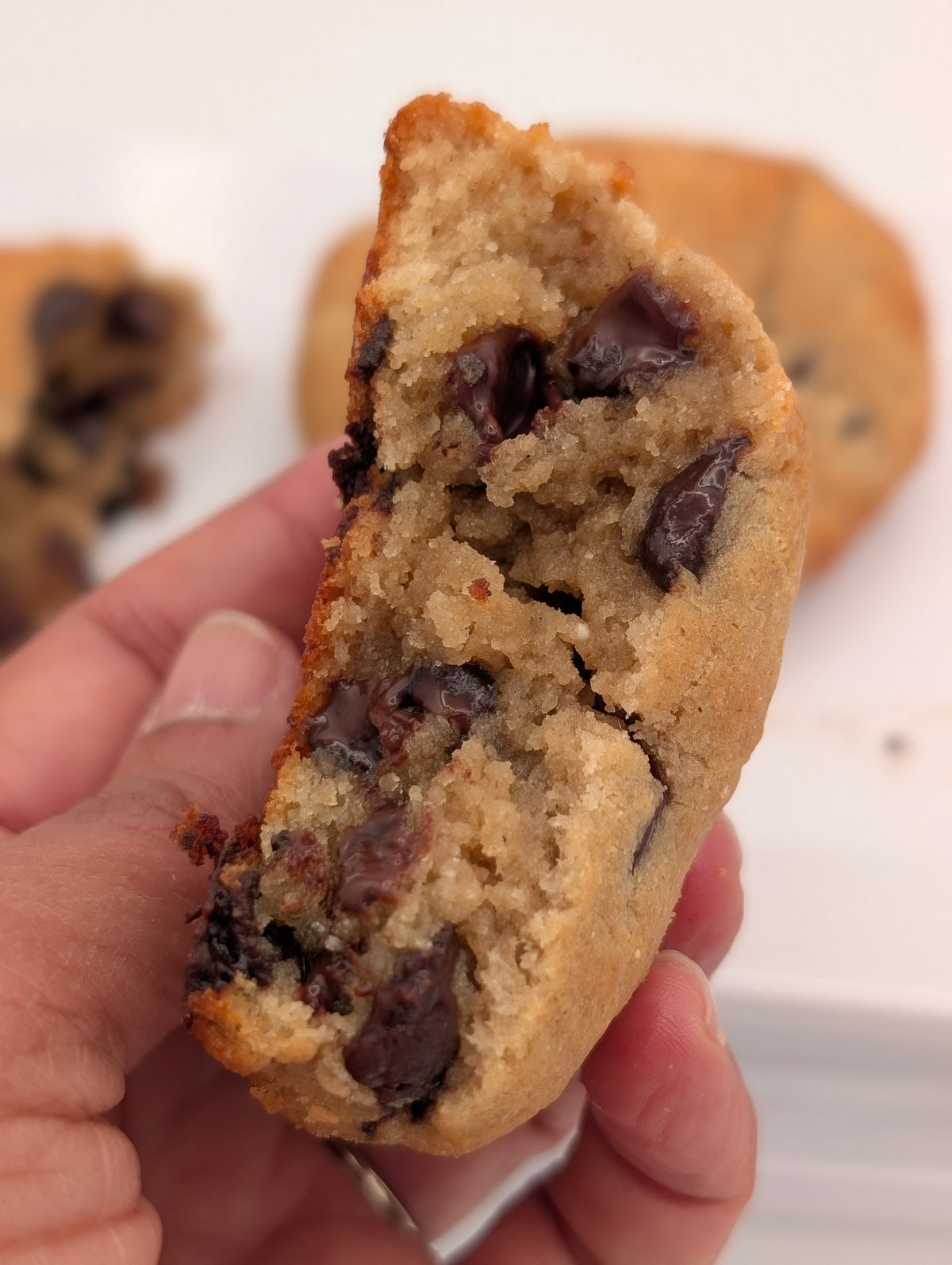 Chocolate Chip Protein Cookie